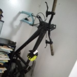 Meet your Posher, Noah